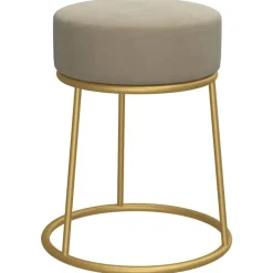 Stoelen*vidaXL Hocker rond fluweel Donkergrijs