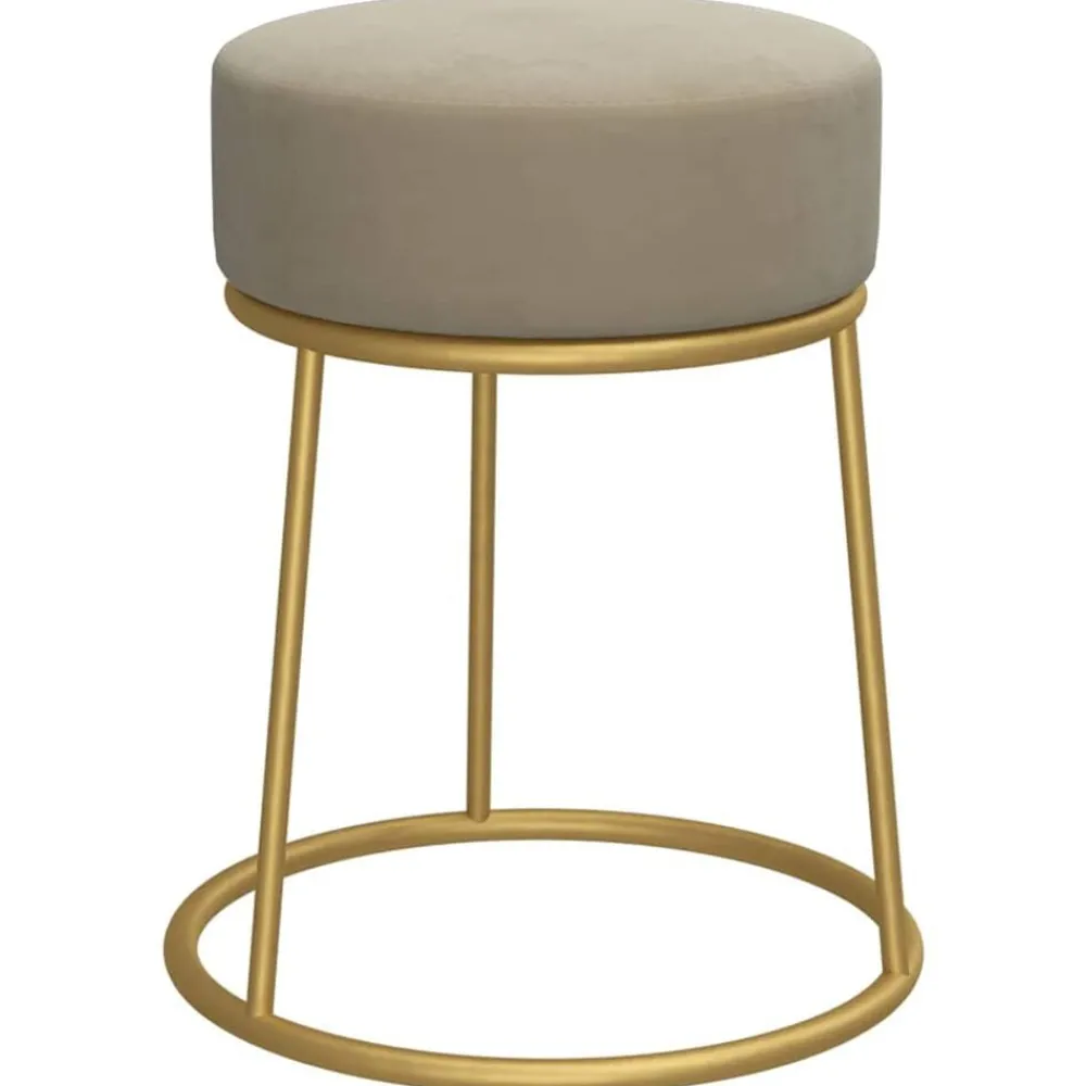 Stoelen*vidaXL Hocker rond fluweel Donkergrijs
