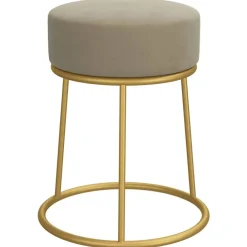 Stoelen*vidaXL Hocker rond fluweel Donkergrijs