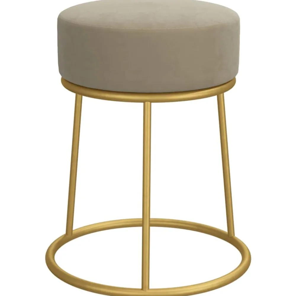 Stoelen*vidaXL Hocker rond fluweel Donkergrijs