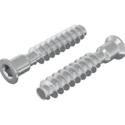 Bouwbeslag*vidaXL Hoofdkapbout 2 pcs Zilver M7 x 40 mm Staal