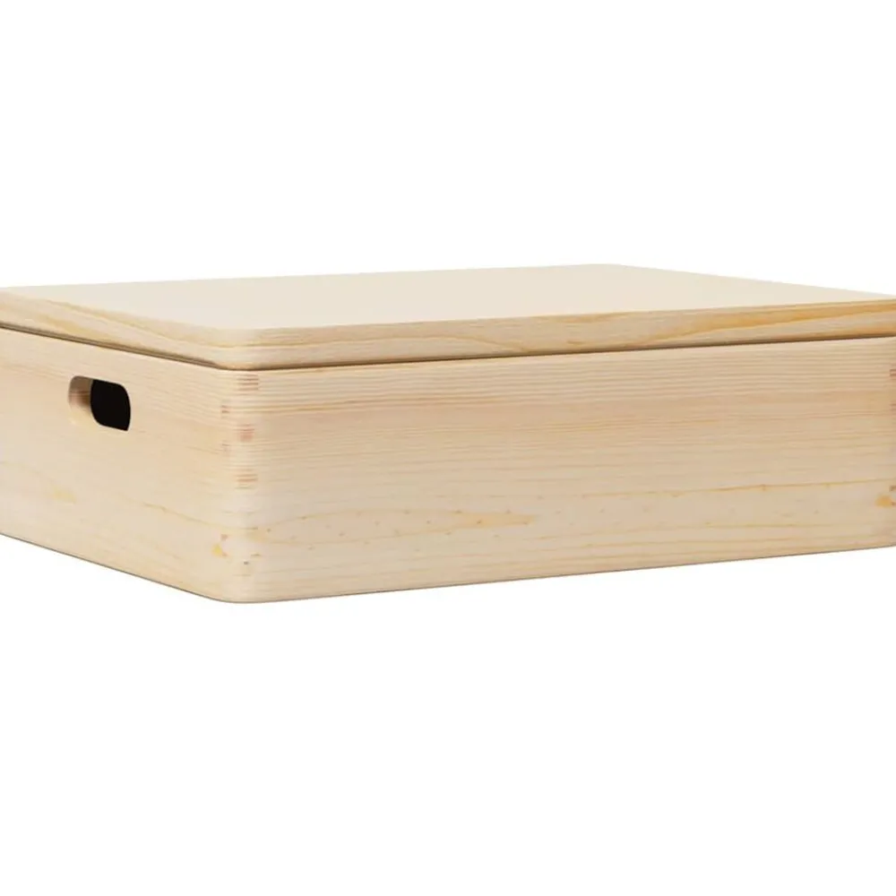 Huishoudelijke Benodigdheden*vidaXL Houten kist met deksel&handvatten 40x30x13cm massief grenenhout Naturel