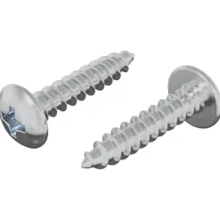 Bouwbeslag*vidaXL Houten Schroeven 2 pcs Zilver M4 x 20 mm Staal