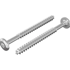 Bouwbeslag*vidaXL Houten Schroeven 2 pcs Zilver M6 x 70 mm Staal
