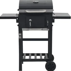 Houtskoolbarbecue met onderplank zwart>vidaXL New