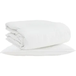 Linnengoed*vidaXL 2-in-1 Dekbed met kussen 2 pcs Wit Donsveertjes