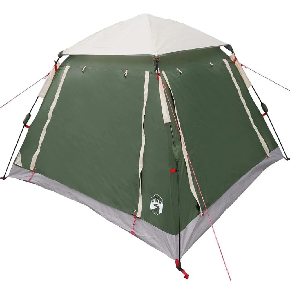 Buitensport*vidaXL Instant Tent met Regenfly voor 3 Personen met Snelle Bevrijding Groen