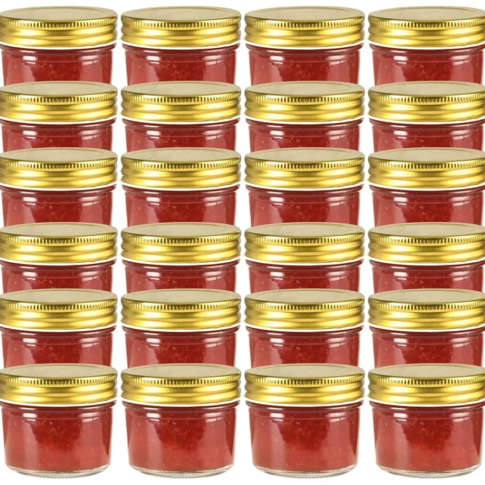 Keuken & Eetkamer*vidaXL Jampotten met kleurige deksels 24 st 110 ml glas Goud