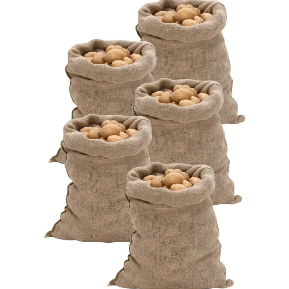 Bagage & Tassen*vidaXL Jutezakken 5 stuks 60x105 cm 100% jute 220 g/m²