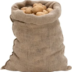 Bagage & Tassen*vidaXL Jutezakken 5 stuks 60x105 cm 100% jute 220 g/m²