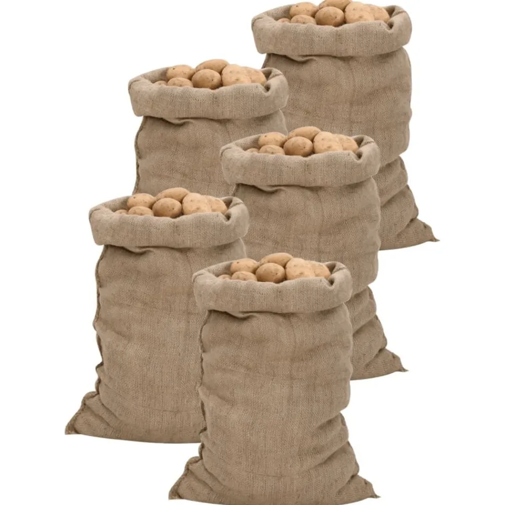 Bagage & Tassen*vidaXL Jutezakken 5 stuks 340 g/m² 60x105 cm 100% jute