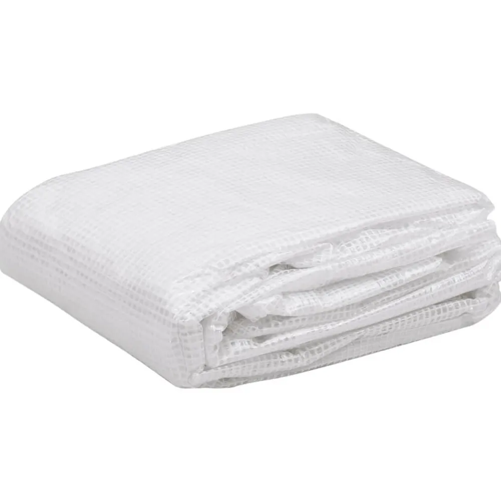 Kashoes vervangend (4,5 m²) 3x1,5x2 m transparant>vidaXL