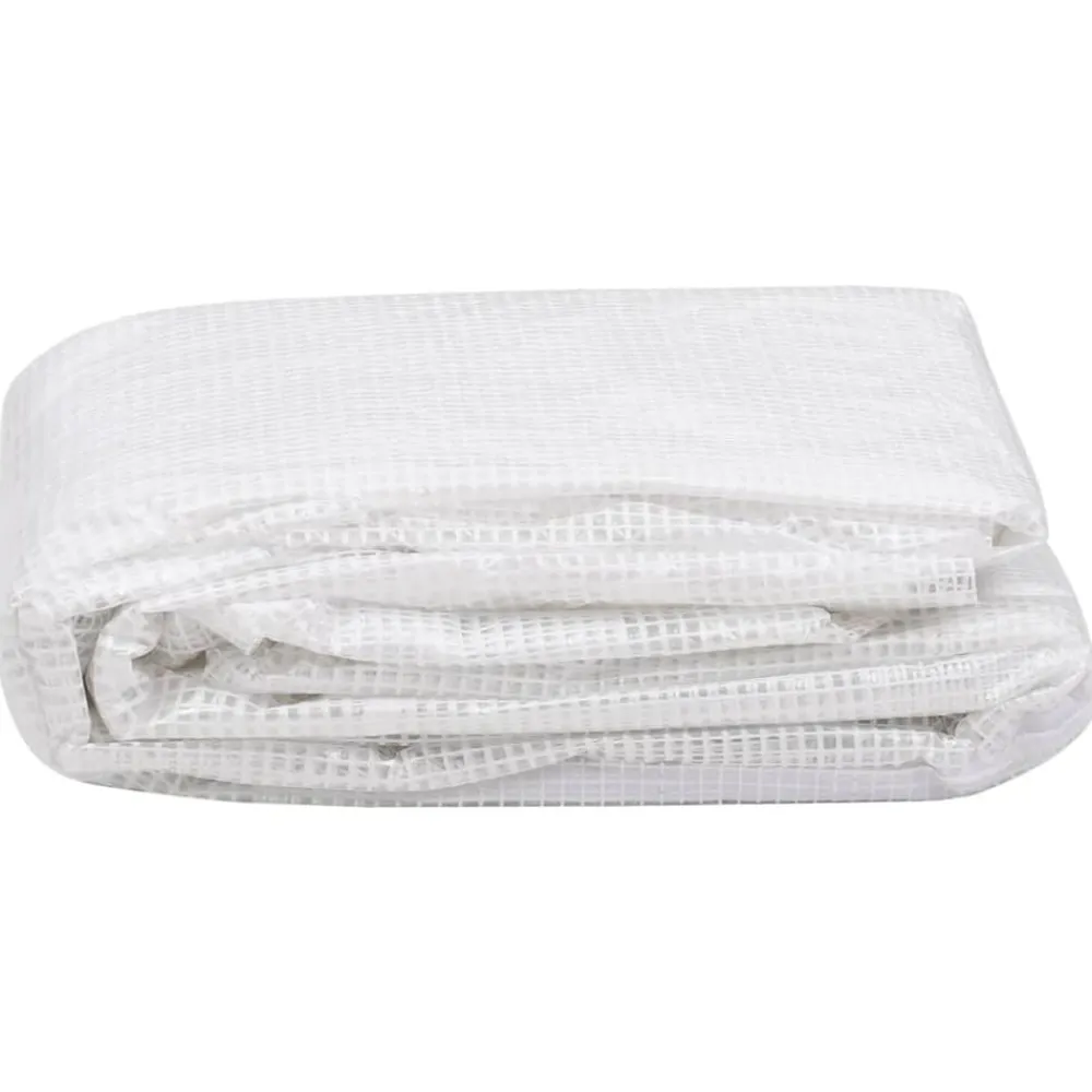 Kashoes vervangend (4,5 m²) 3x1,5x2 m transparant>vidaXL