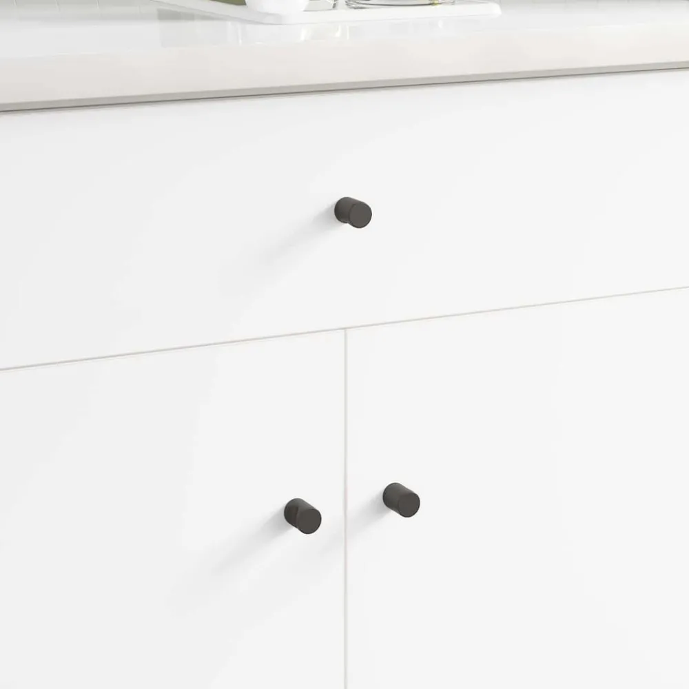 Bouwbeslag*vidaXL Kastknop 2 pcs Zwart 18 x 23 mm IJzer