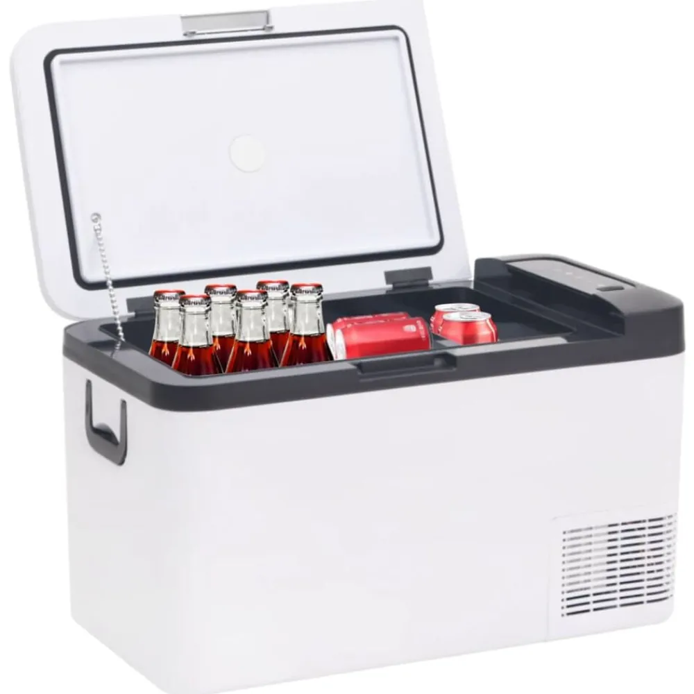 Keuken & Eetkamer*vidaXL Koelbox met handvat 25 L PP & PE zwart en wit