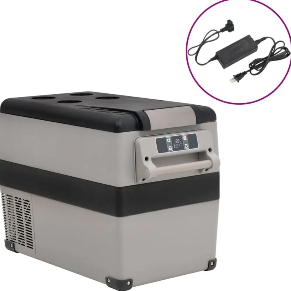 Keuken & Eetkamer*vidaXL Koelbox met handvat en adapter 55 L PP & PE zwart en grijs