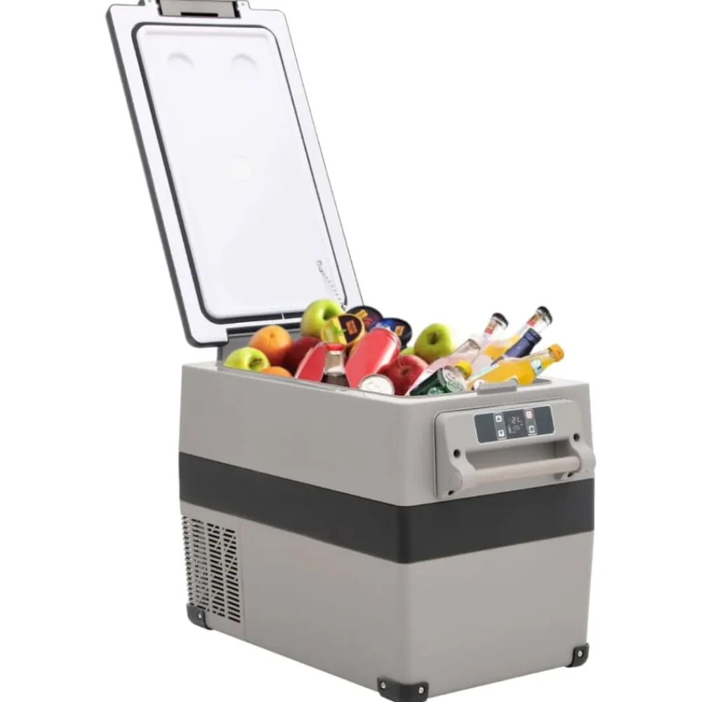 Keuken & Eetkamer*vidaXL Koelbox met handvat 35 L PP & PE zwart en wit