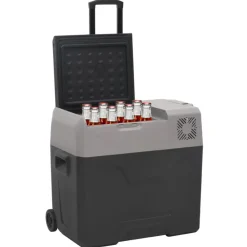 Keuken & Eetkamer*vidaXL Koelbox met wielen en adapter 30 L polypropeen zwart en grijs