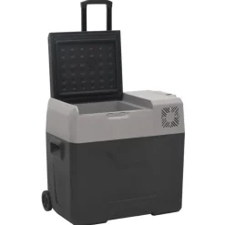 Keuken & Eetkamer*vidaXL Koelbox met wielen en adapter 40 L polypropeen zwart en grijs
