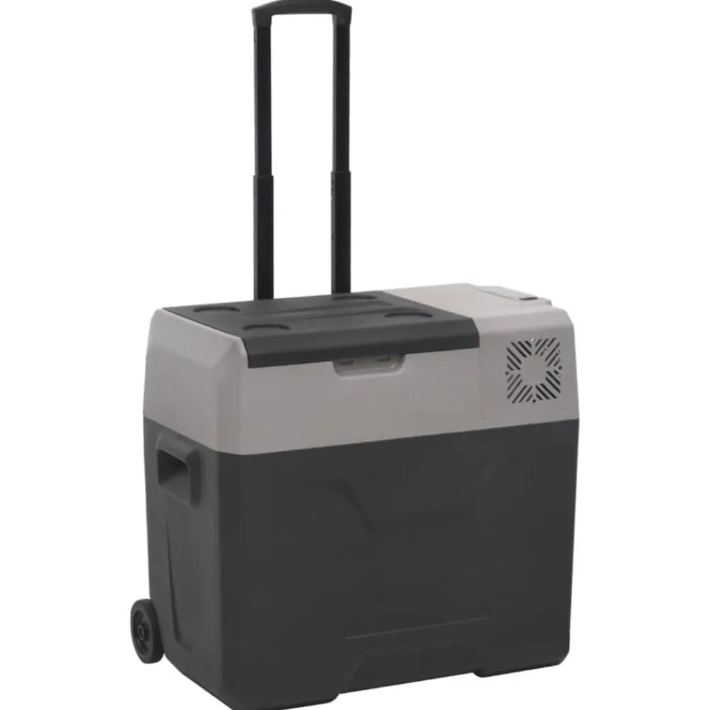 Keuken & Eetkamer*vidaXL Koelbox met wielen en handvat 30 L polypropeen zwart en grijs