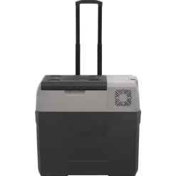 Keuken & Eetkamer*vidaXL Koelbox met wielen en handvat 30 L polypropeen zwart en grijs