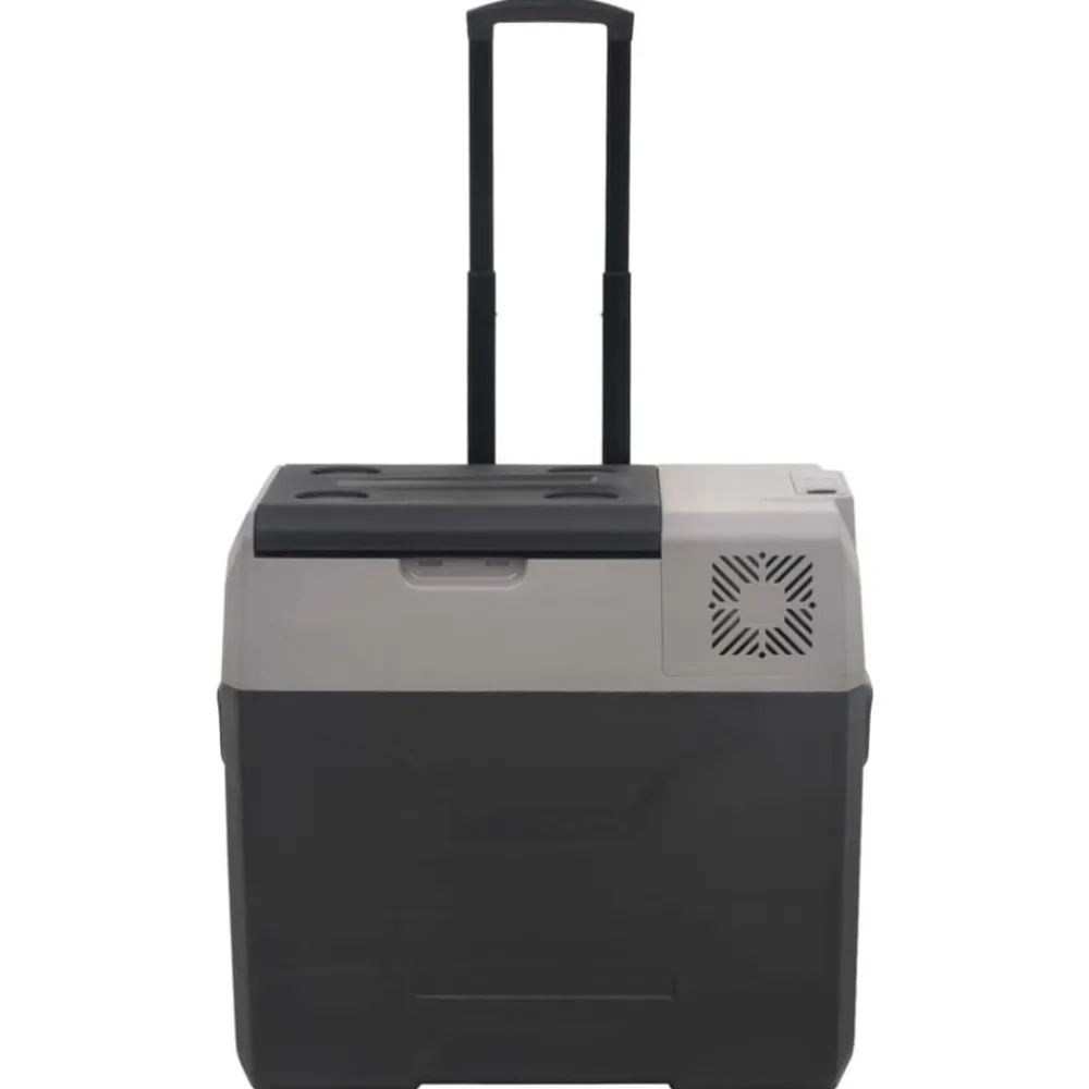 Keuken & Eetkamer*vidaXL Koelbox met wielen en handvat 50 L polypropeen zwart en grijs