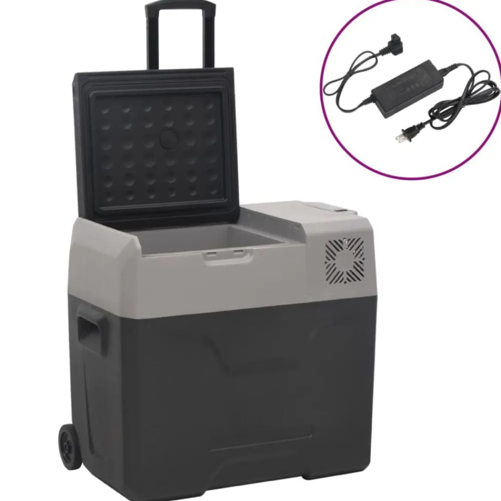 Keuken & Eetkamer*vidaXL Koelbox met wielen en adapter 50 L polypropeen zwart en grijs