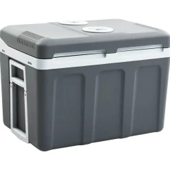 Keuken & Eetkamer*vidaXL Koelbox thermo-elektrisch draagbaar 12 V 230 V E 40 L