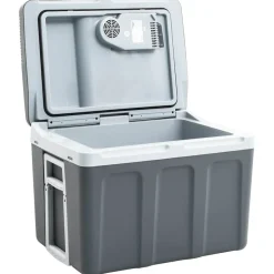 Keuken & Eetkamer*vidaXL Koelbox thermo-elektrisch draagbaar 12 V 230 V E 40 L