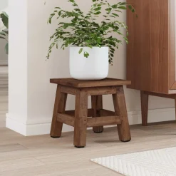Stoelen*vidaXL Kruk Naturel 26 x 26 x 26 cm Mahoniehout