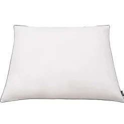 Linnengoed*vidaXL Kussens 2 st licht 80x80 cm dons-/verenvulling wit