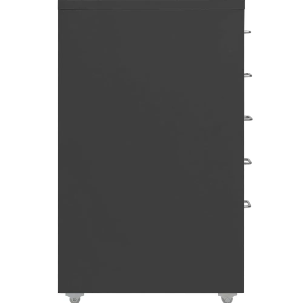 Ladeblok verrijdbaar 28x41x69 cm metaal kleurig>vidaXL Hot