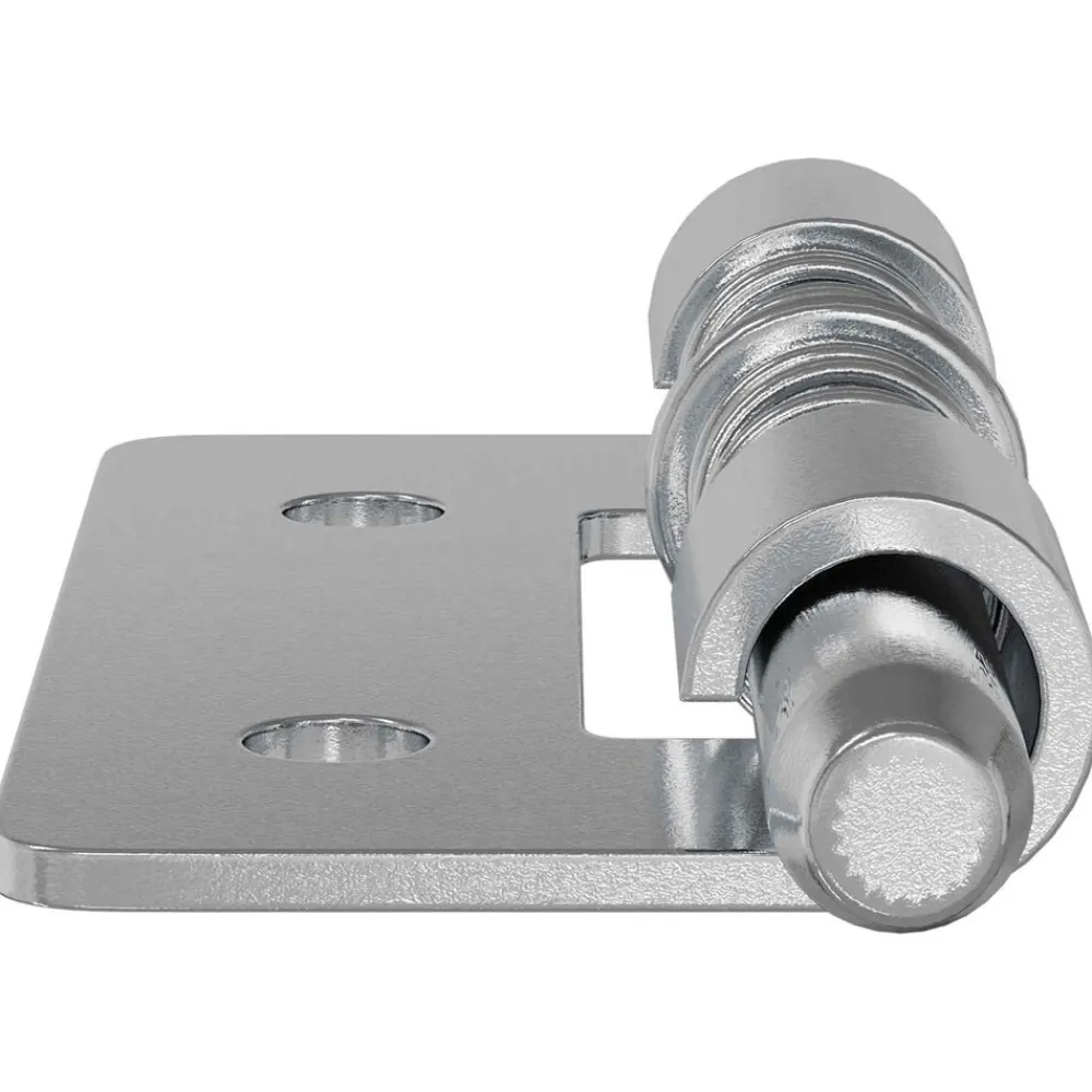 Bouwbeslag*vidaXL Latch 2 pcs Zilver 46 x 17 x 1,2 mm Staal