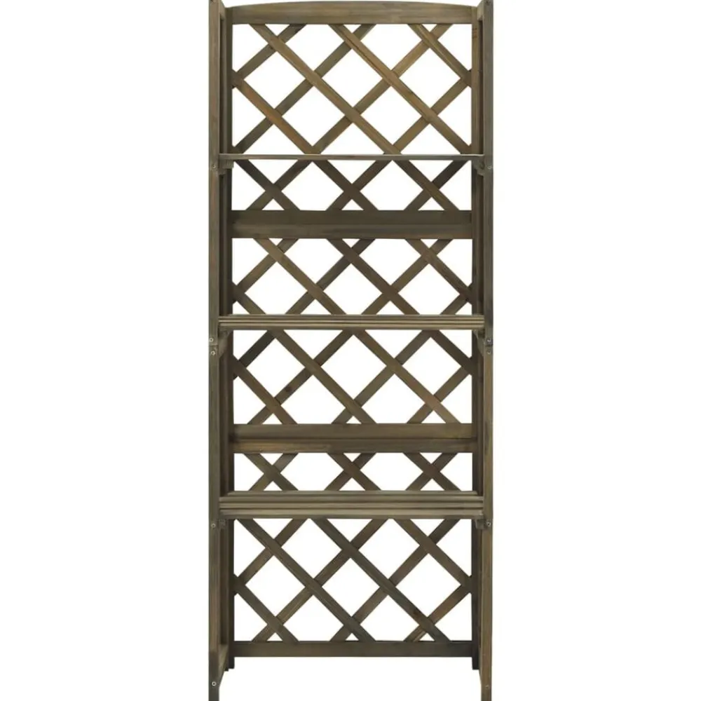 Tuin & Gazon*vidaXL Latwerk met schappen 55x30x140 cm massief vurenhout Grijs
