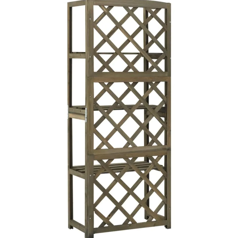 Tuin & Gazon*vidaXL Latwerk met schappen 55x30x140 cm massief vurenhout Grijs