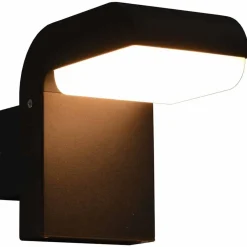 LED-buitenwandlamp 9 W ovaal zwart>vidaXL Hot