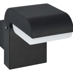 LED-buitenwandlamp 9 W ovaal zwart>vidaXL Hot