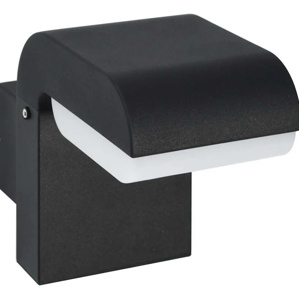 LED-buitenwandlamp 9 W ovaal zwart>vidaXL Hot