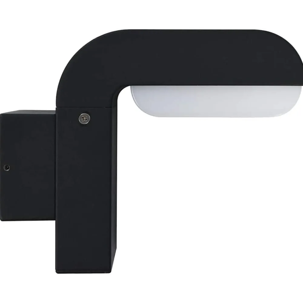 LED-buitenwandlamp 9 W ovaal zwart>vidaXL Hot