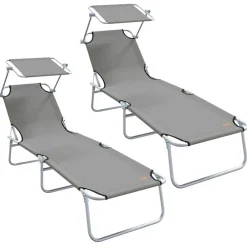 Tuinmeubelen*vidaXL Ligbed met luifel inklapbaar staal Grijs