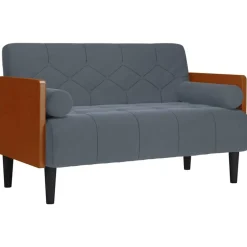 Banken*vidaXL Loveseat bank met bolsters 110 cm fluweel Donkergrijs