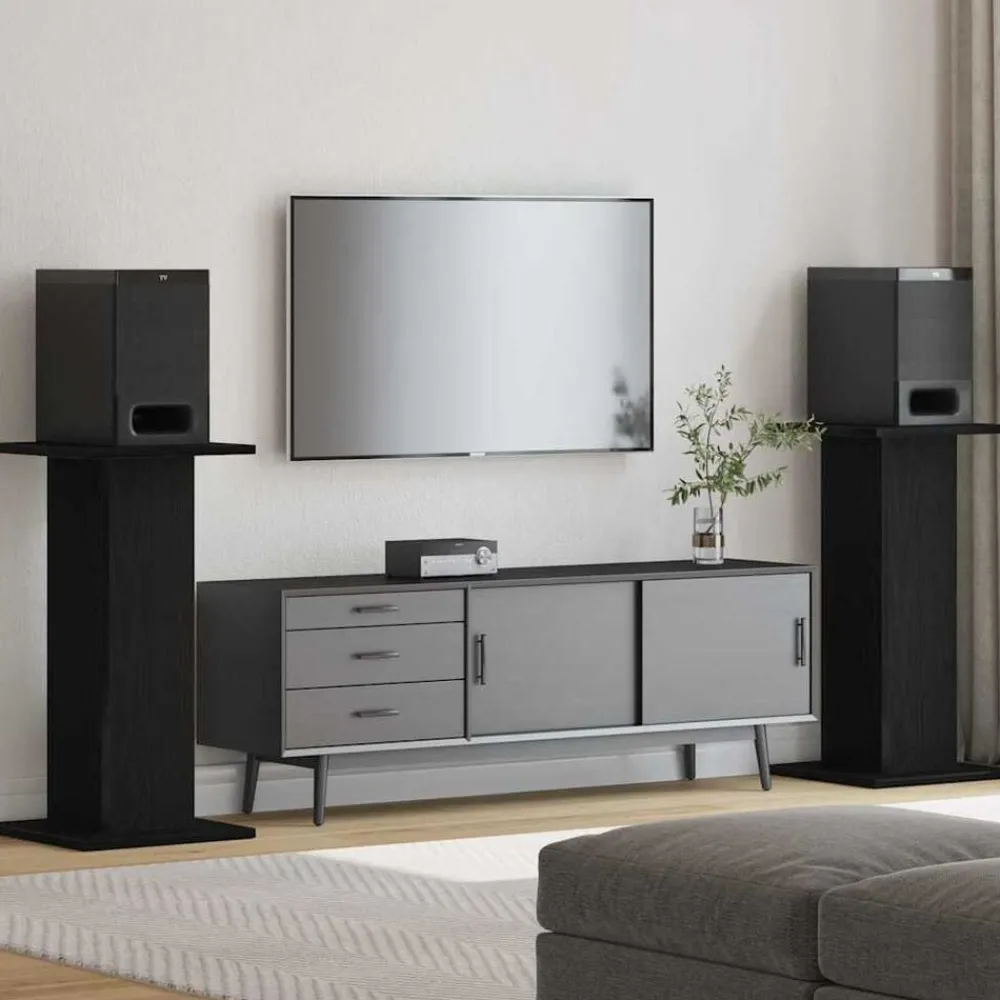 Luidspreker standaards 2 pcs Zwart Eiken>vidaXL Outlet