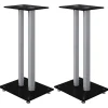 Elektronica*vidaXL Luidsprekerstandaards 2 st 2 pijlers gehard glas zwart zilver