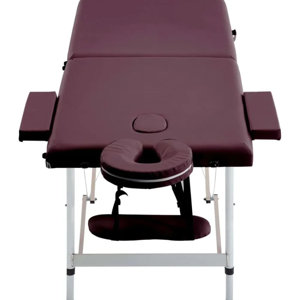 Massagetafel inklapbaar 2 zones aluminum>vidaXL Online