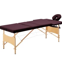 Uiterlijk & Gezondheid*vidaXL Massagetafel inklapbaar 3 zones hout Wijnpaars