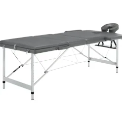 Uiterlijk & Gezondheid*vidaXL Massagetafel met 3 zones 186x68 cm aluminium frame Antraciet