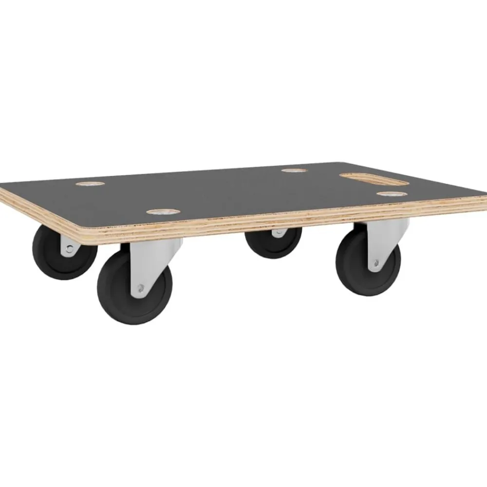 Materiaalbehandeling*vidaXL Meubelhondjes 2 st rechthoekig 250 kg 60x40x11,5 cm