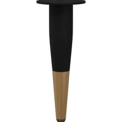 Bouwbeslag*vidaXL Meubelpoten 2 pcs Zwart en Goud Ø 40 x 98 mm IJzer