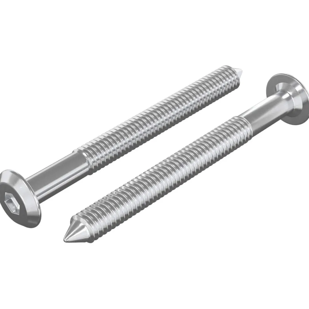 Meubelschroeven 2 pcs Zilver M6 x 60 mm Staal>vidaXL Discount