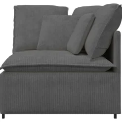 Accessoires Voor Stoelen En Banken*vidaXL Modulaire hoekbank met kussens 100 cm Donkergrijs